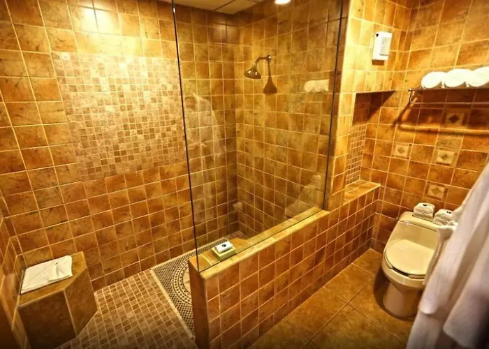 2br Royal Haciendas Plunge Pool & Oceanview Villa